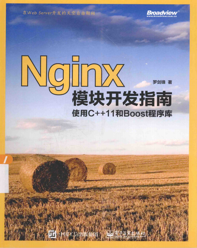Nginx模块开发指南:使用C++11和Boost程序库 pdf_服务器教程